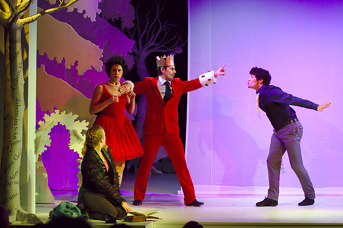 Wild im Wald (Bild 1/16)