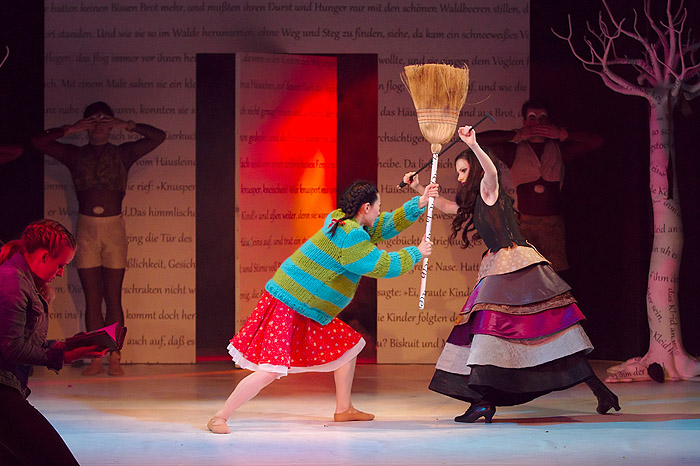 Wild im Wald (Bild 12/16)