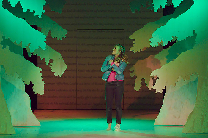 Wild im Wald (Bild 13/16)