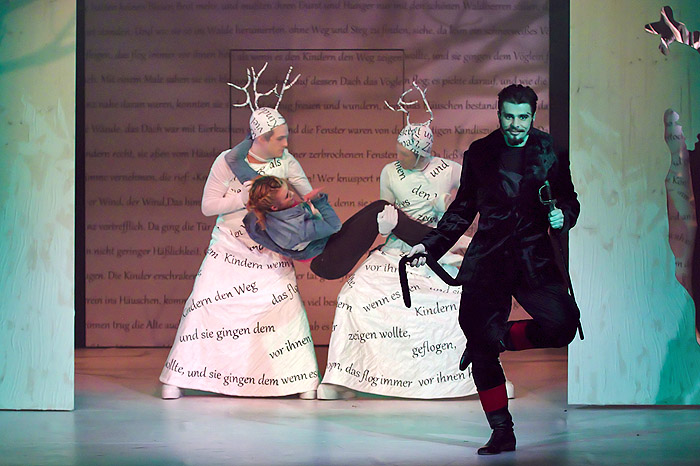 Wild im Wald (Bild 14/16)