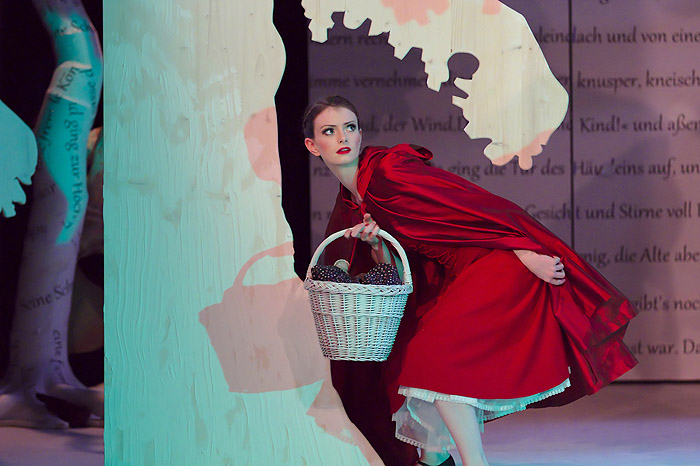 Wild im Wald (Bild 5/16)