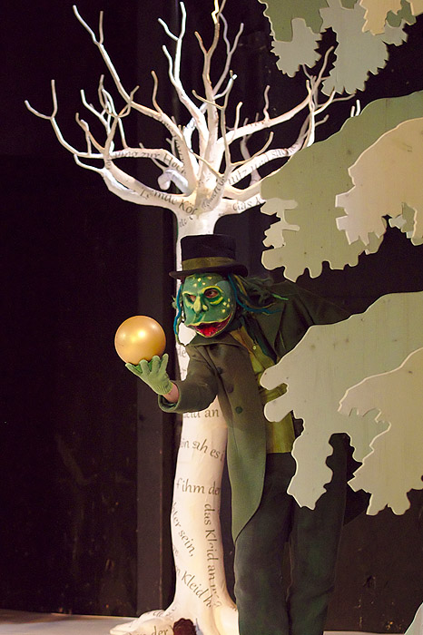 Wild im Wald (Bild 8/16)