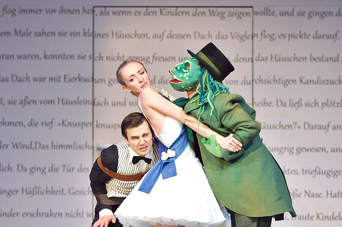 Wild im Wald (Bild 9/16)